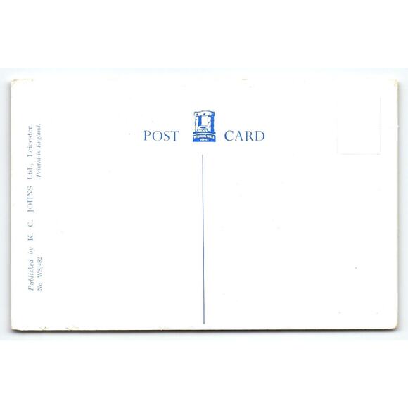 Dressed Cats Postcard Kittens Willy Schemele No Use Crying Over Spilled Milk UK - Picture 2 of 2